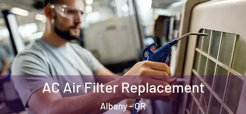  AC Air Filter Replacement Albany - OR