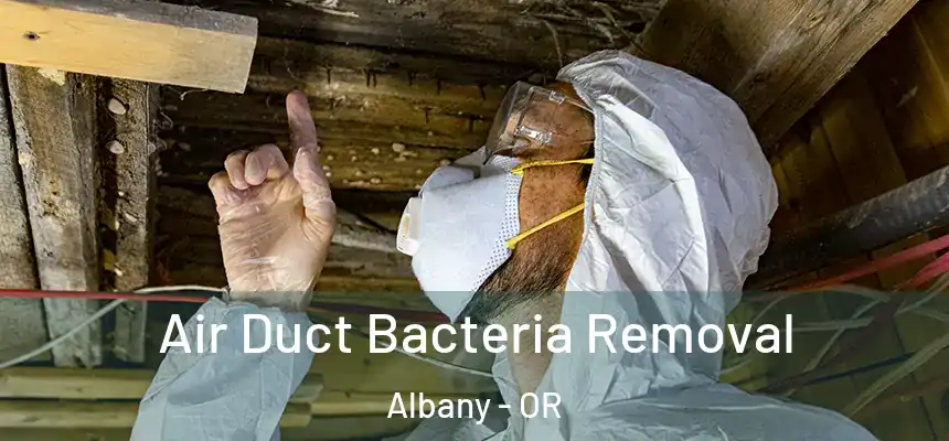 Air Duct Bacteria Removal Albany - OR