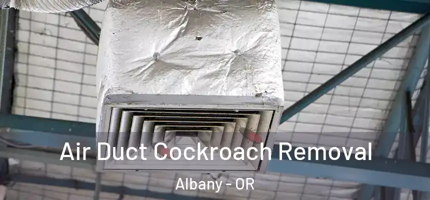Air Duct Cockroach Removal Albany - OR