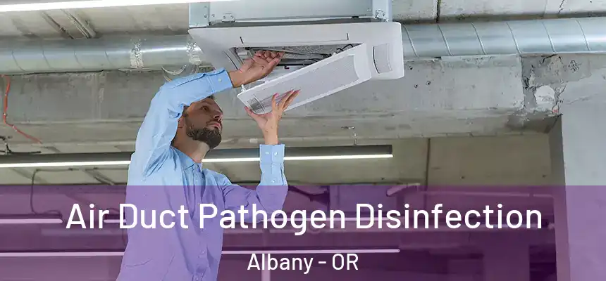 Air Duct Pathogen Disinfection Albany - OR