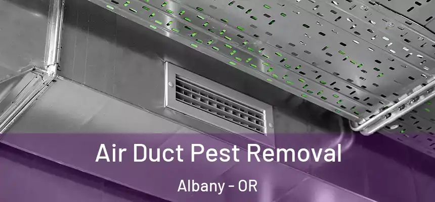  Air Duct Pest Removal Albany - OR