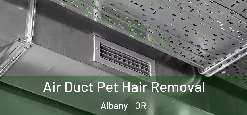  Air Duct Pet Hair Removal Albany - OR