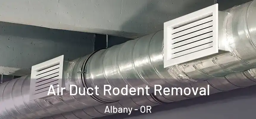  Air Duct Rodent Removal Albany - OR