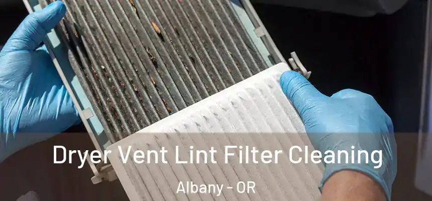 Dryer Vent Lint Filter Cleaning Albany - OR