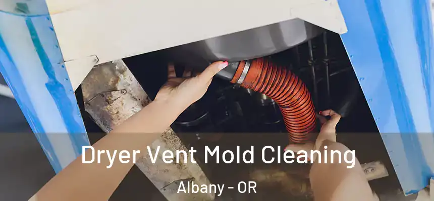 Dryer Vent Mold Cleaning Albany - OR