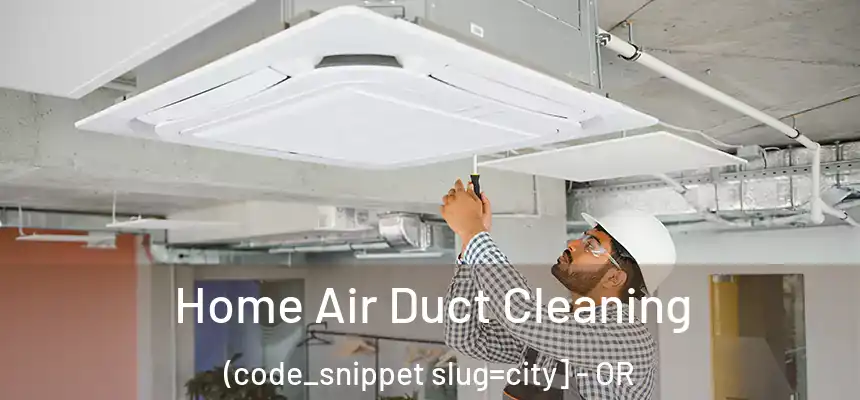  Home Air Duct Cleaning (code_snippet slug=city] - OR