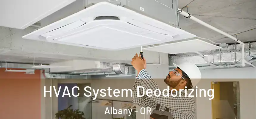HVAC System Deodorizing Albany - OR