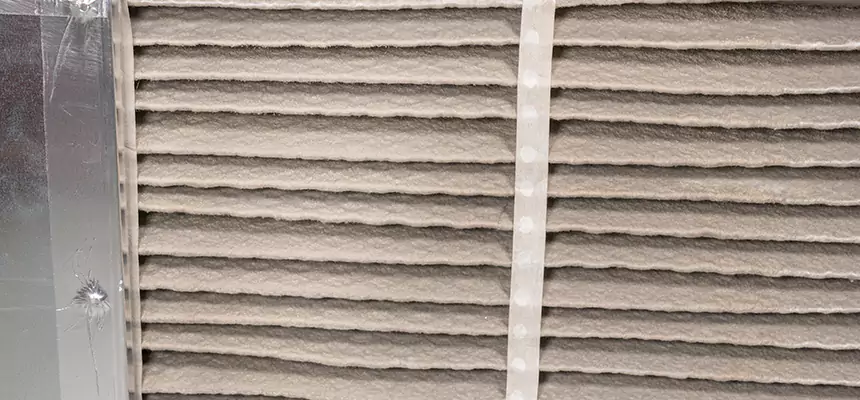 Mobile Car AC Filter Replacement in Albany