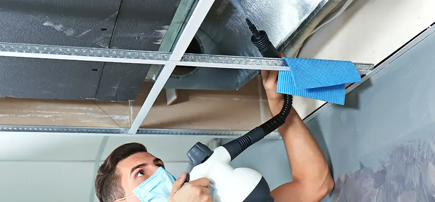 Our Air Duct Rodent Removal Services in Albany, OR