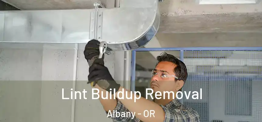 Lint Buildup Removal Albany - OR
