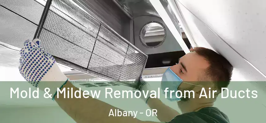 Mold & Mildew Removal from Air Ducts Albany - OR