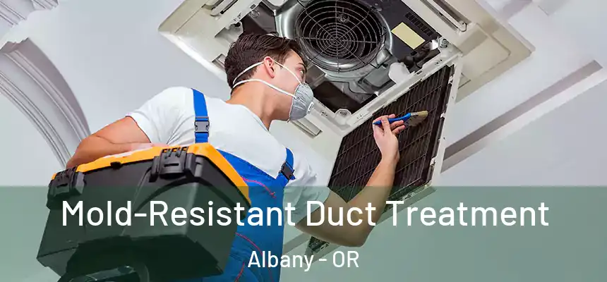Mold-Resistant Duct Treatment Albany - OR