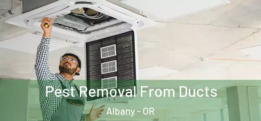 Pest Removal From Ducts Albany - OR