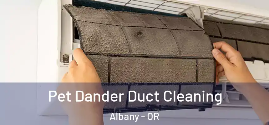 Pet Dander Duct Cleaning Albany - OR