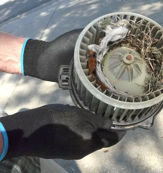 About Air Duct Rat Removal in Albany, OR