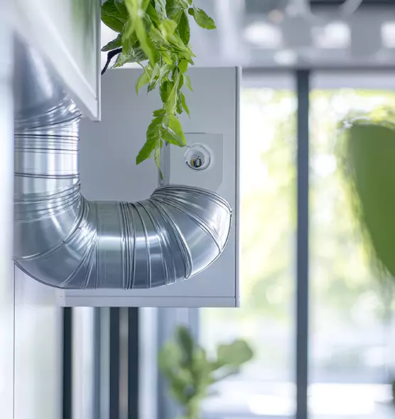 Professional Eco-Friendly Duct Cleaning Services in Albany, OR