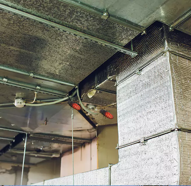 Why Homeowners & Businesses Trust Us in Albany, OR?