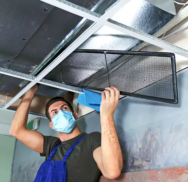 Why Homeowners Businesses Trust Us in Albany, OR