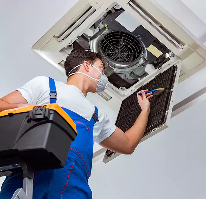 Why Homeowners & Businesses Trust Us in Albany, OR?