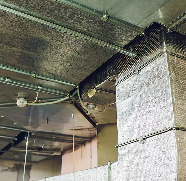 Why Homeowners & Businesses Trust Us in Albany, OR?